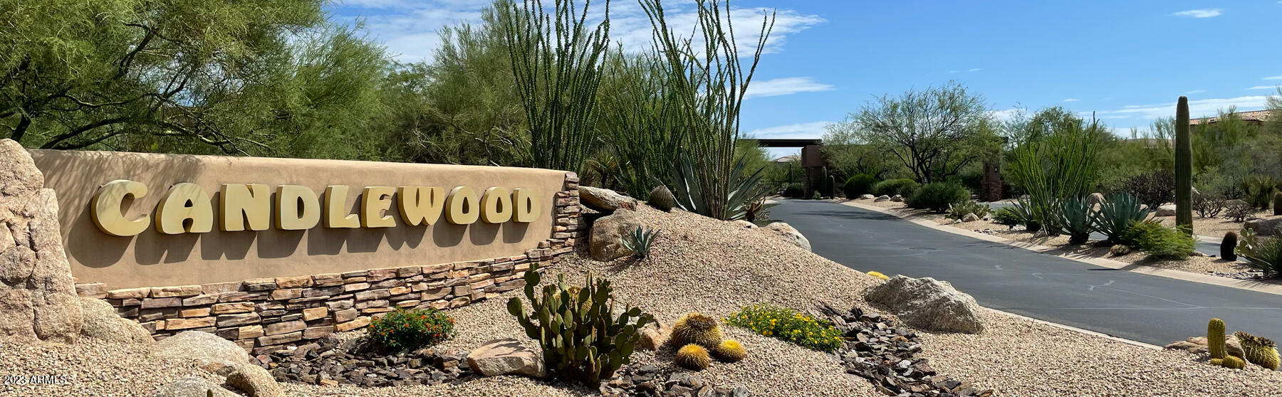 10687 E CINDER CONE Trail Unit: 99