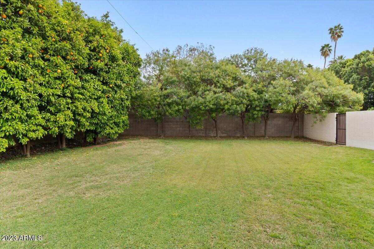 322 W STELLA Lane
