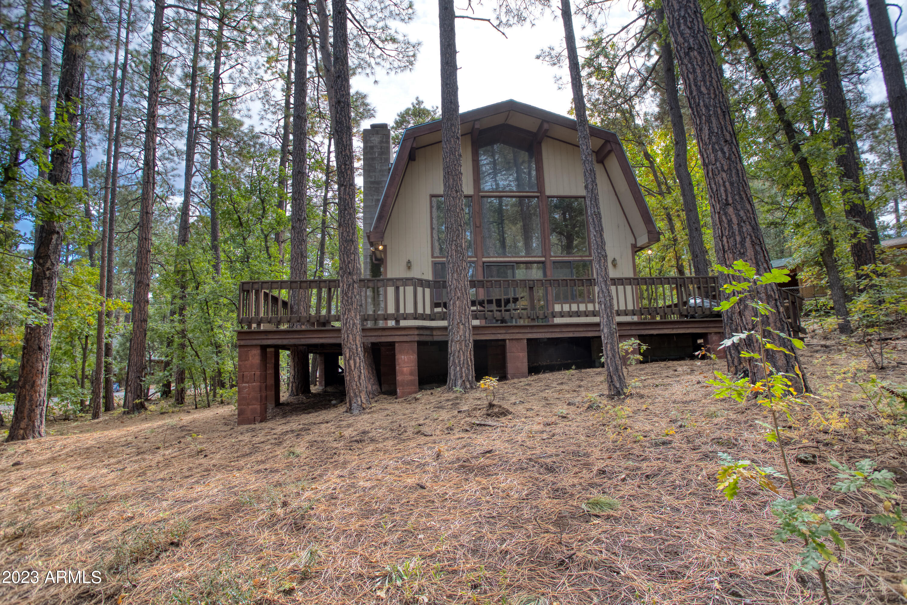 1876 E WOODCHUCK Lane