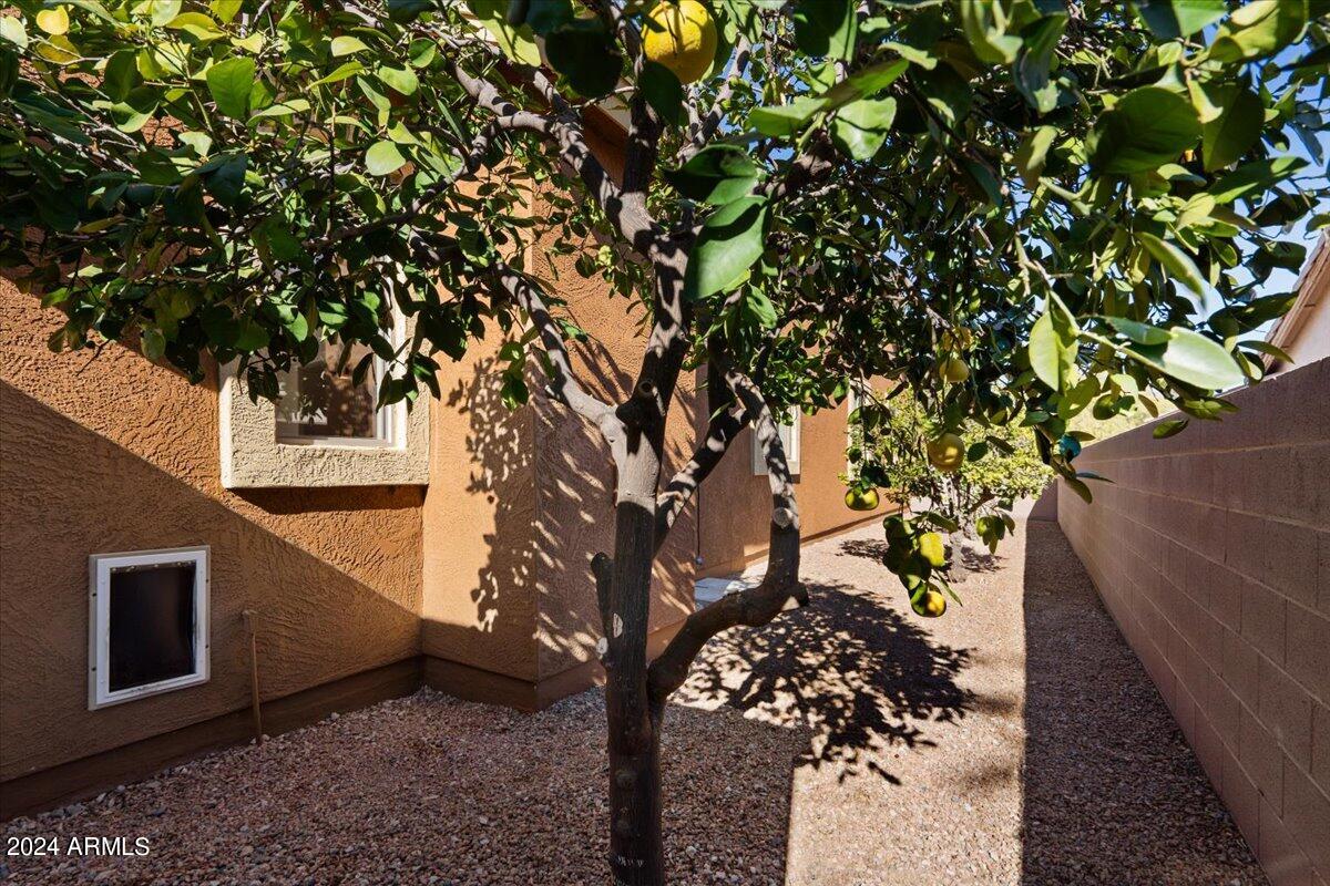 2603 E ACOMA Drive