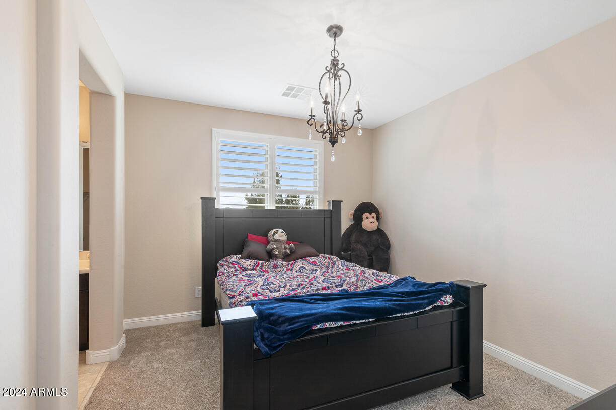 3705 E CAT BALUE Drive