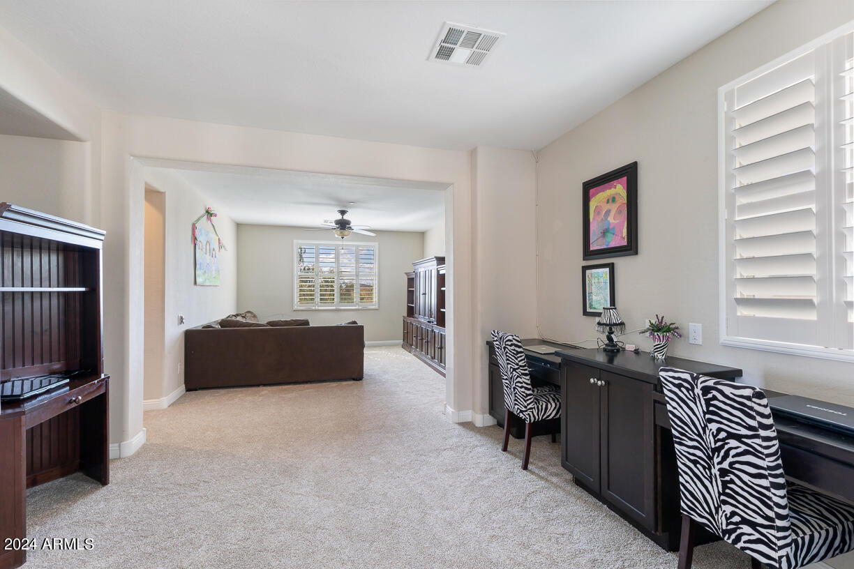 3705 E CAT BALUE Drive