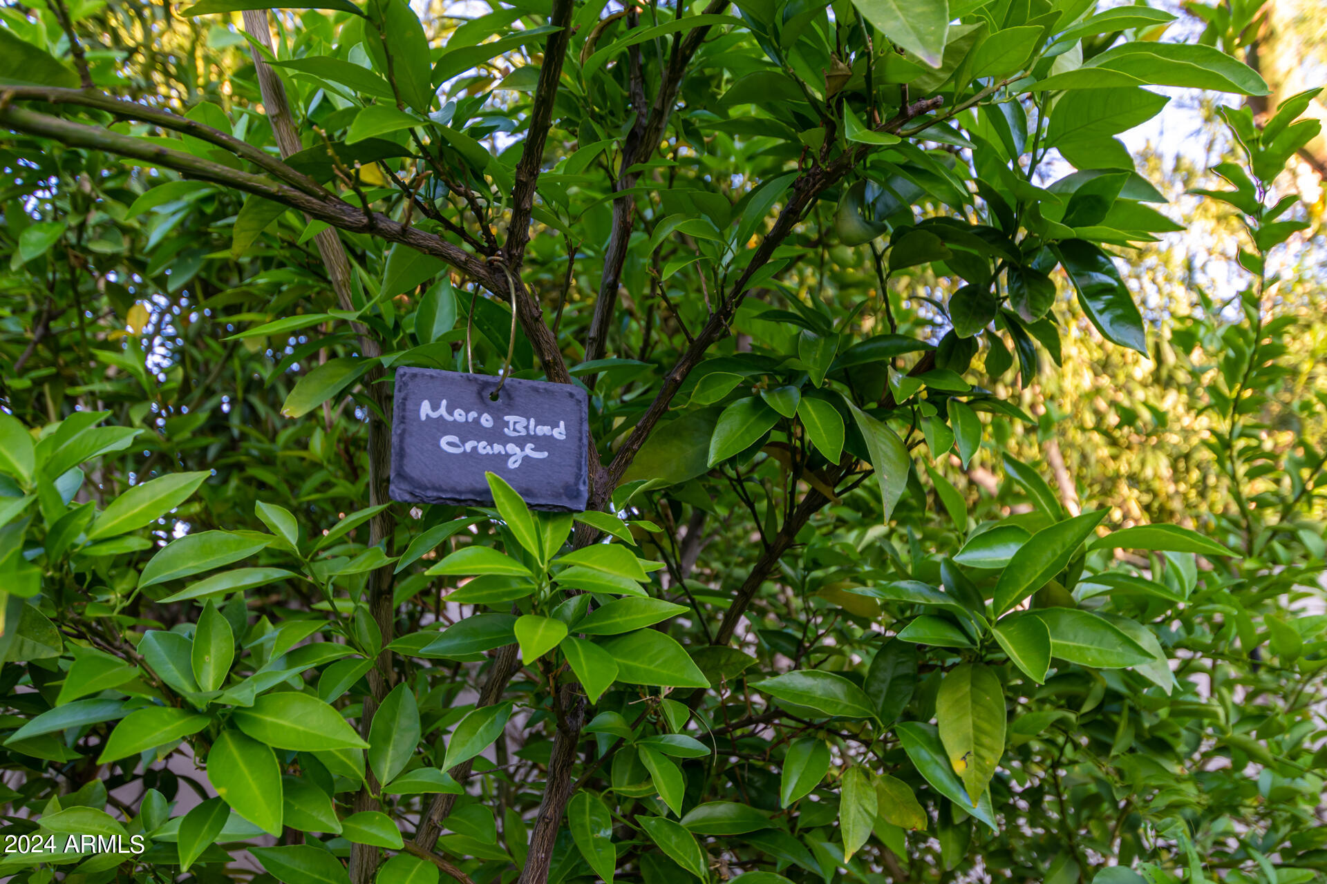 4018 E DEVONSHIRE Avenue