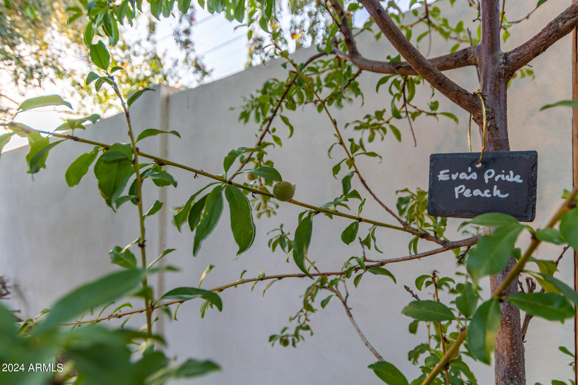 4018 E DEVONSHIRE Avenue