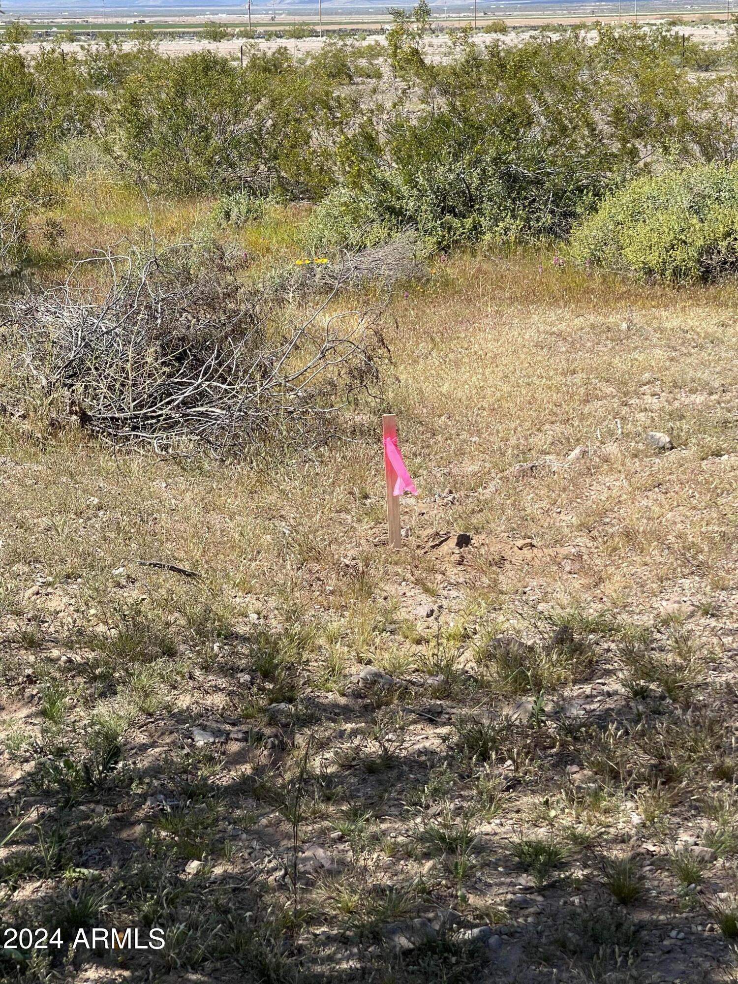 490 W VAN BUREN Street # 63