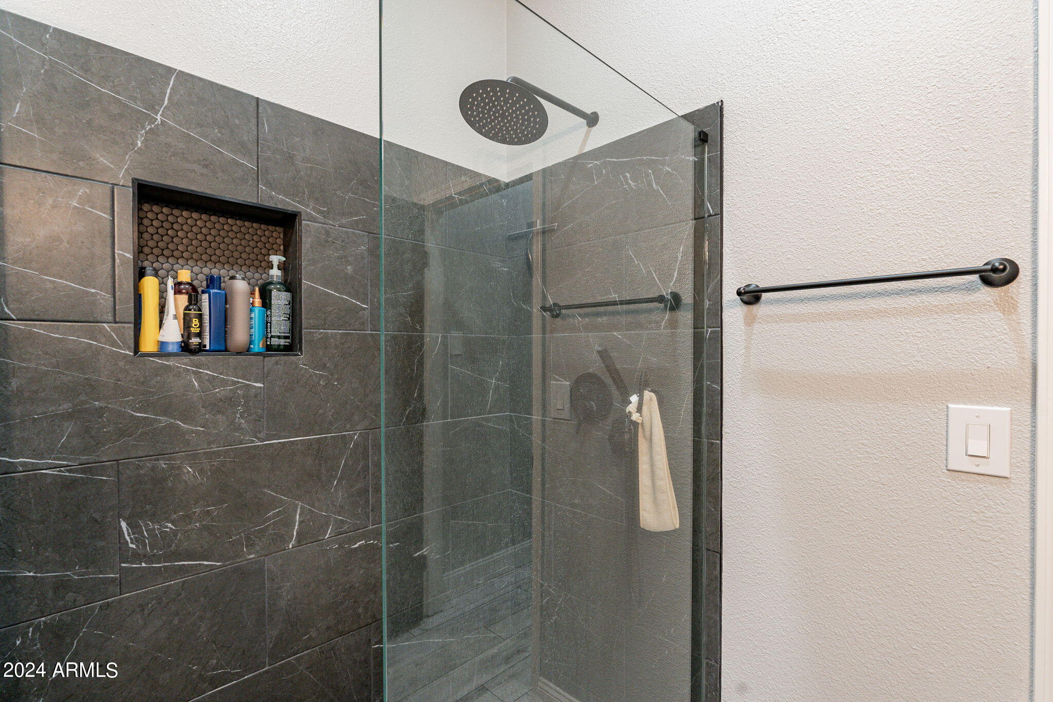 10445 W CAMINO DE ORO --