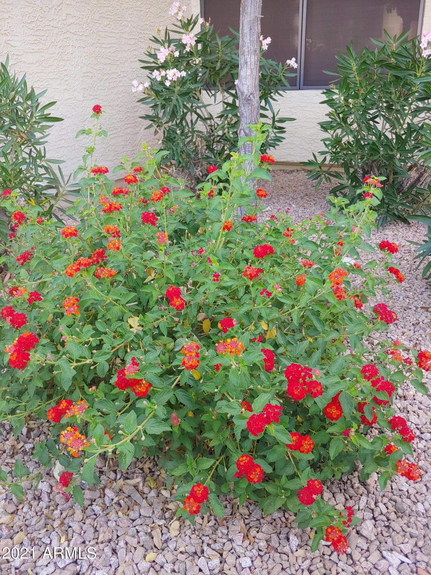 9990 N SCOTTSDALE Road # 3025