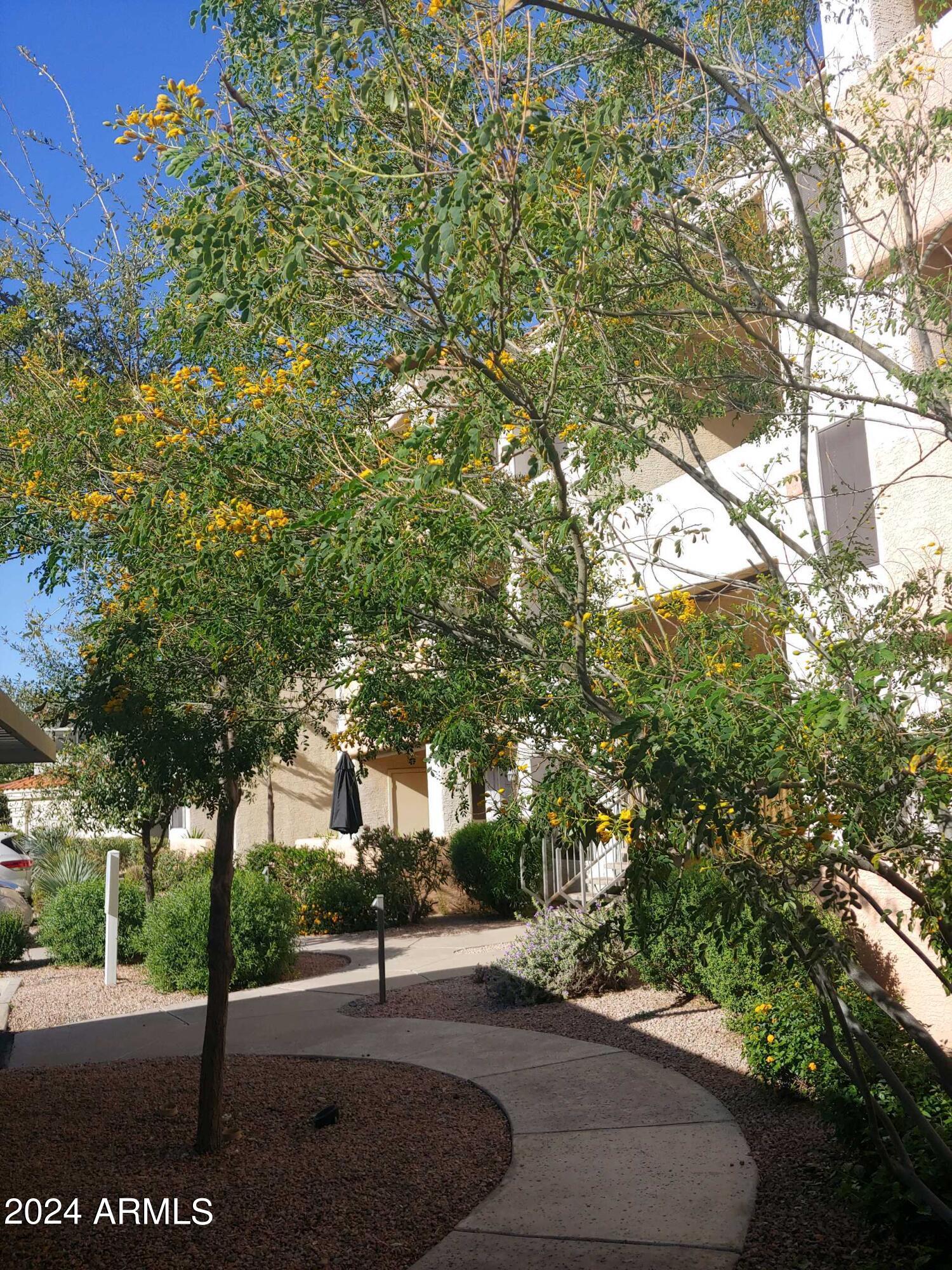 9990 N SCOTTSDALE Road # 3025