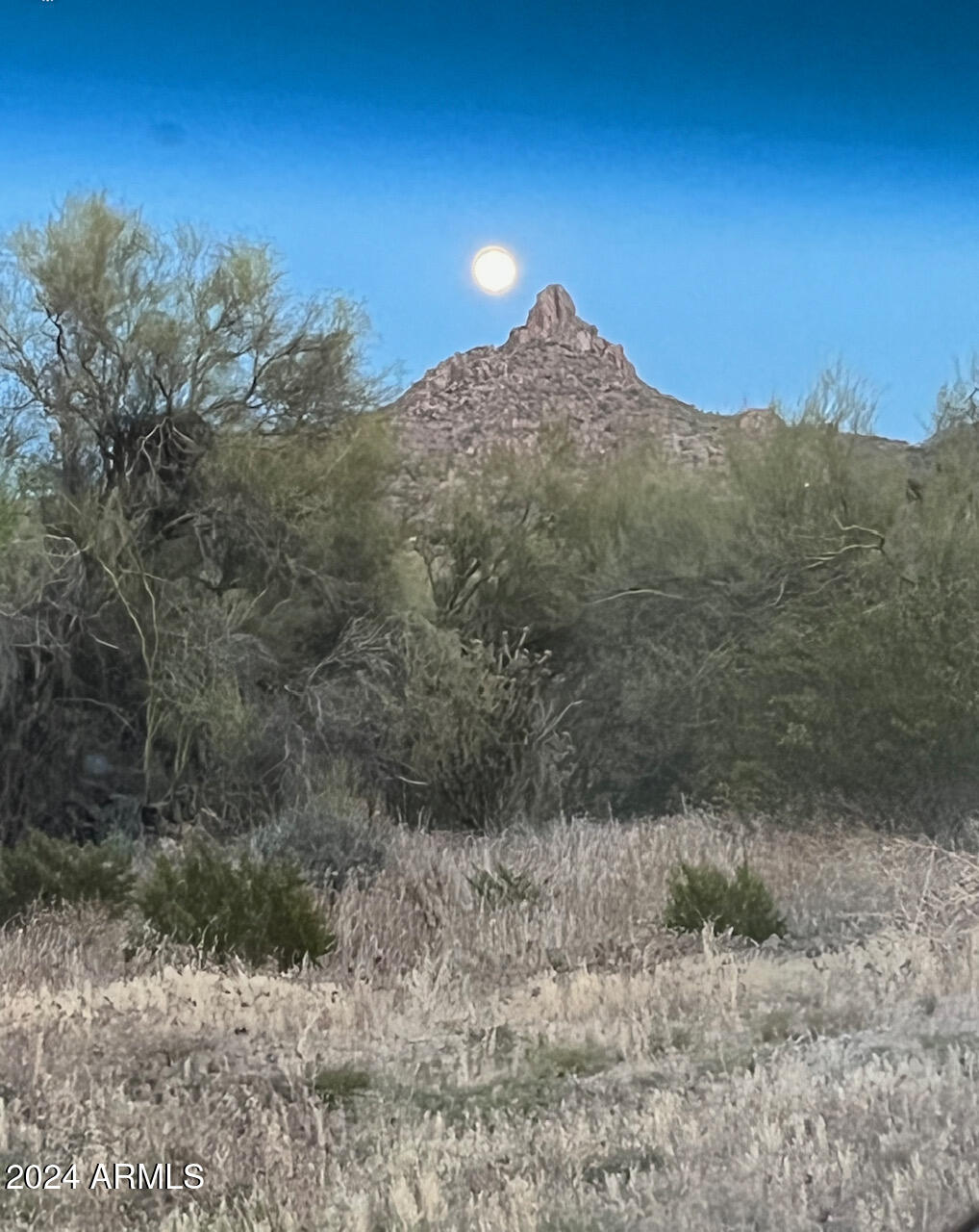 10779 E Whitethorn Drive