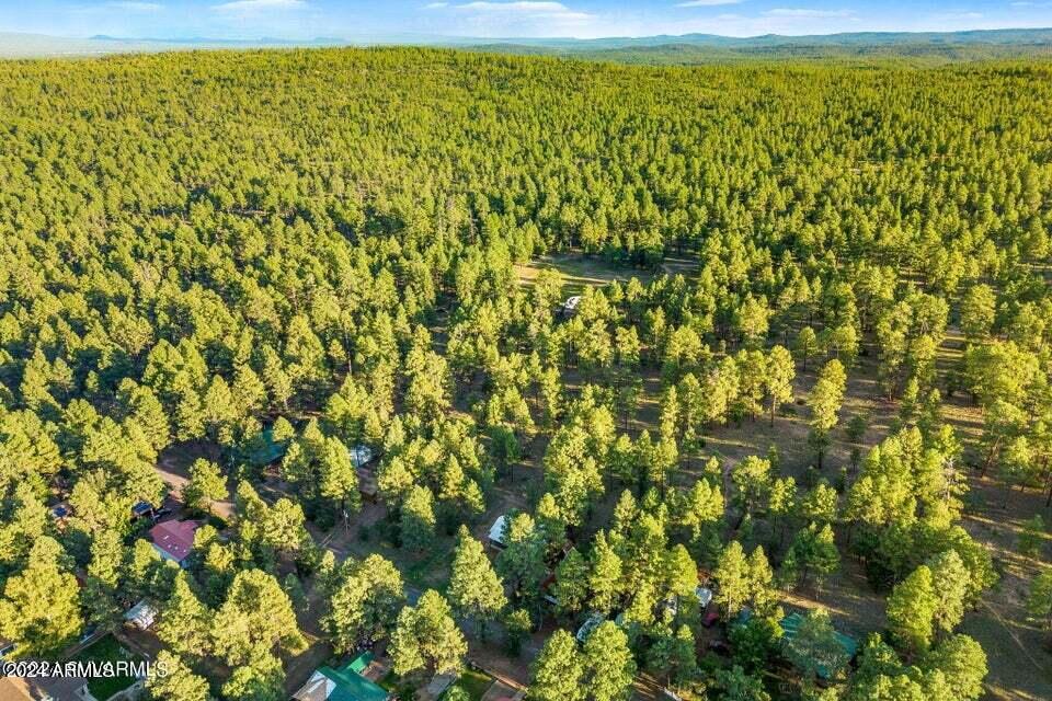 2877 PINON PINE Drive