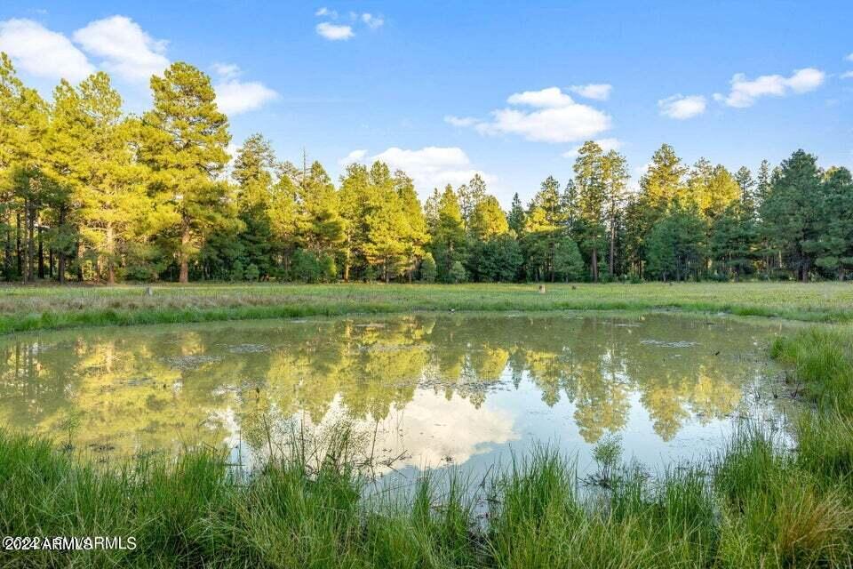 2877 PINON PINE Drive