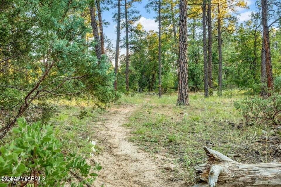 2877 PINON PINE Drive