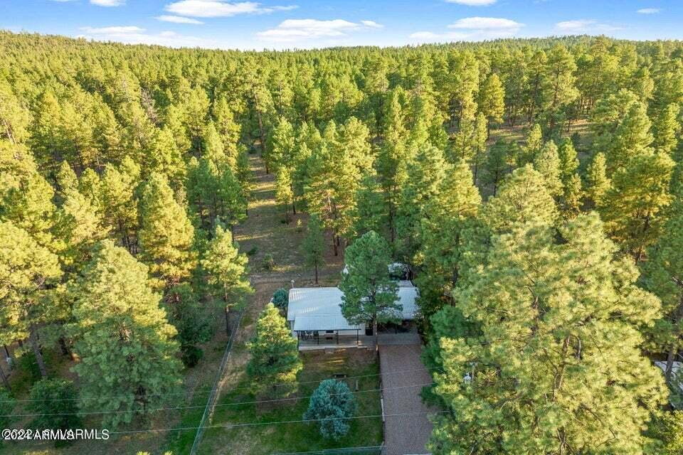 2877 PINON PINE Drive