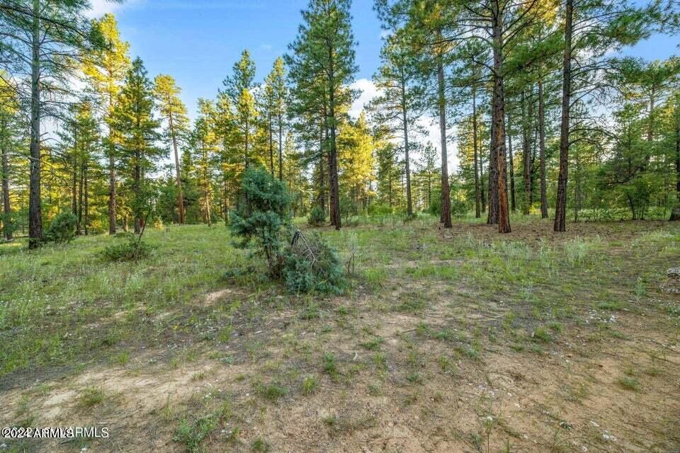 2877 PINON PINE Drive