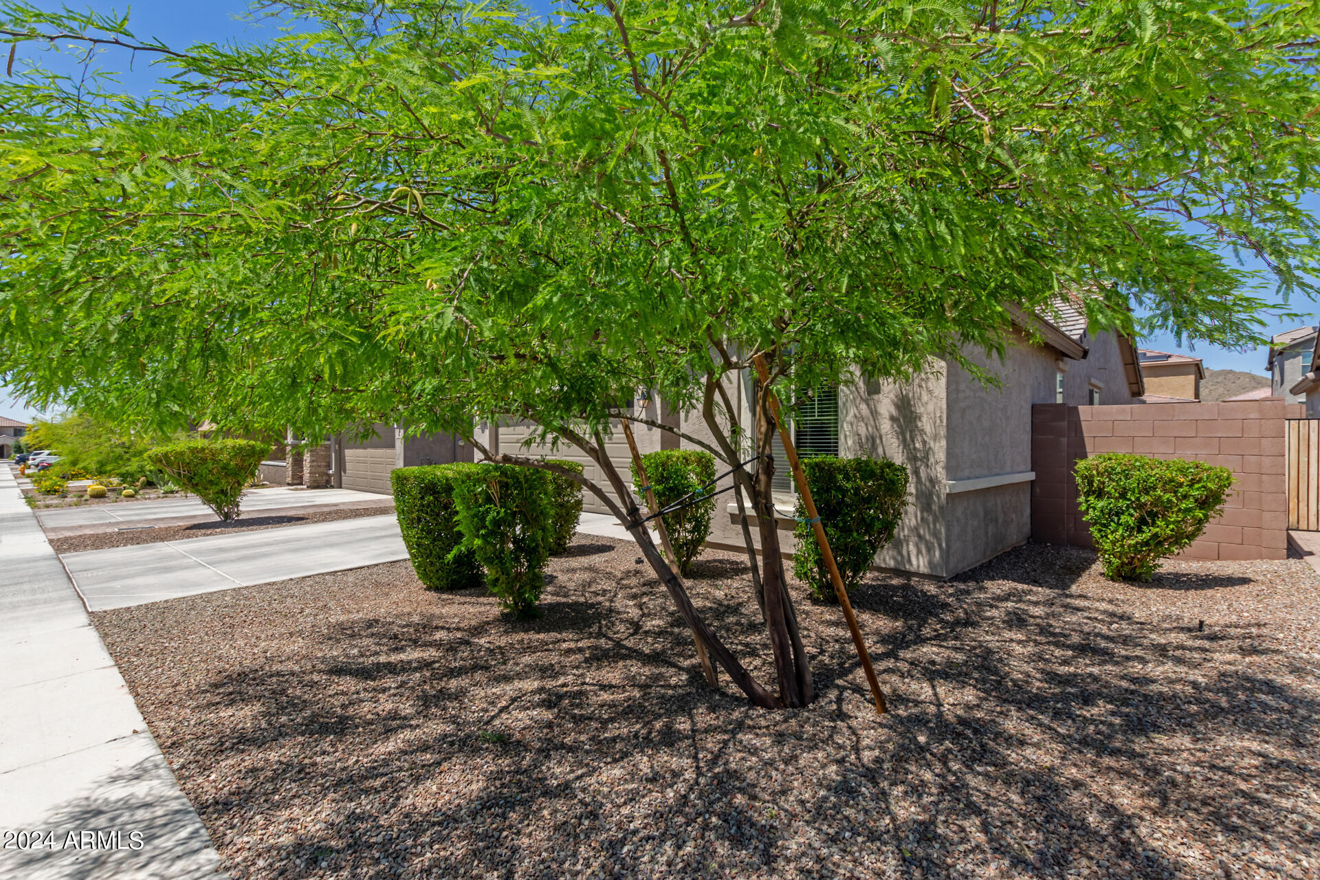 7072 W Jasmine Trail