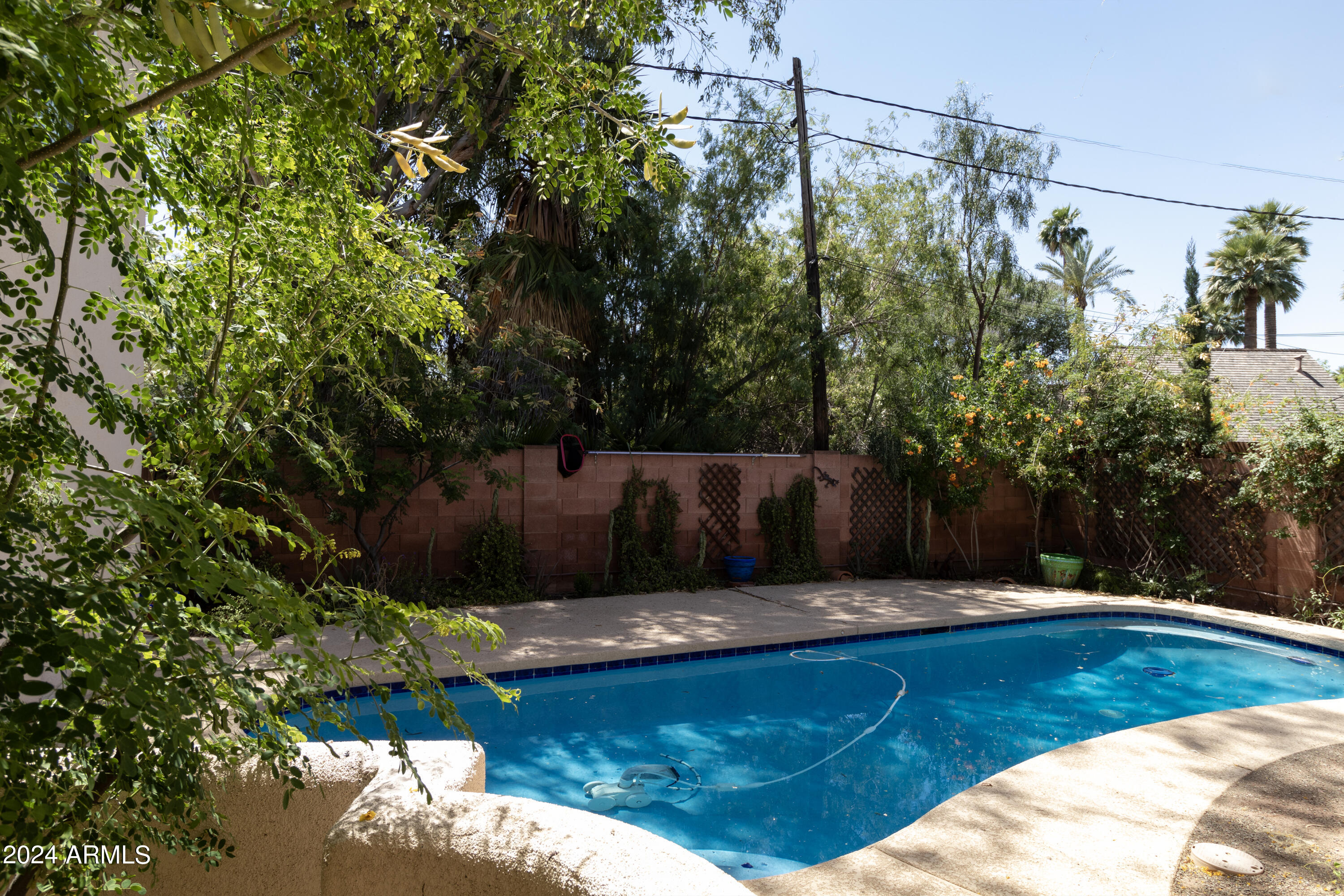 739 W CORONADO Road