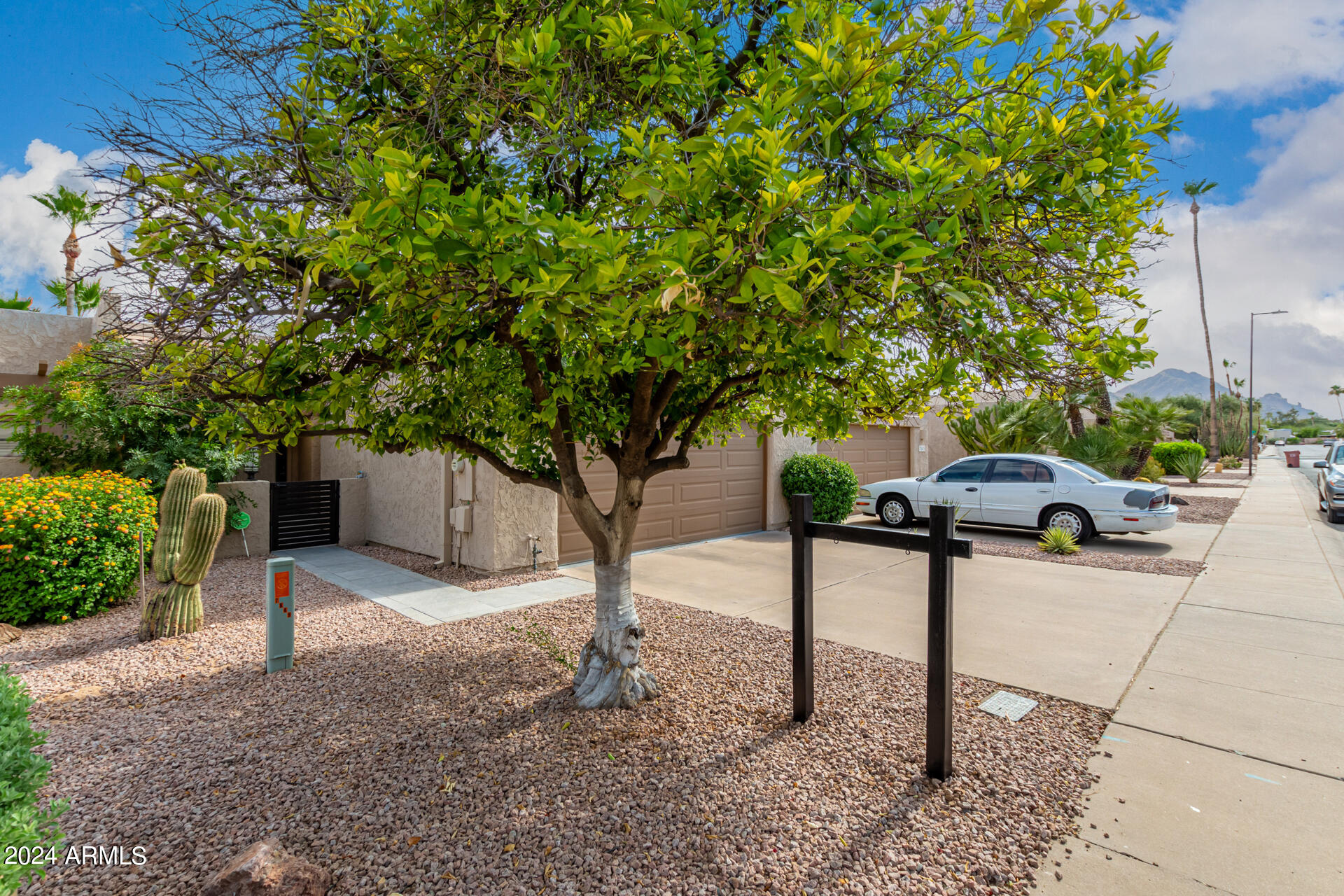 7849 E BUENA TERRA Way