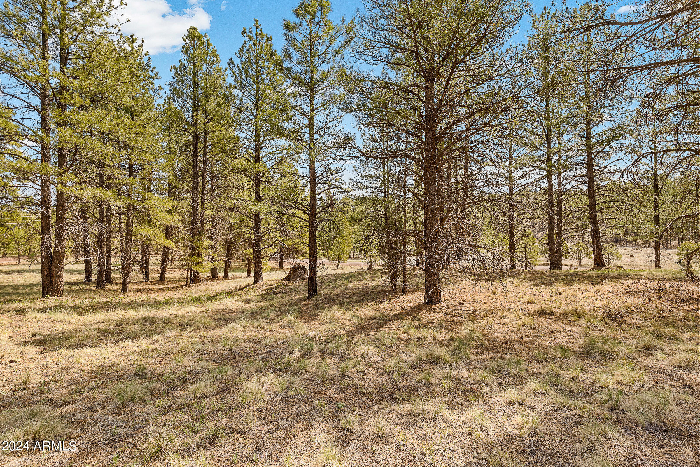 171 S Beech Drive Unit: --