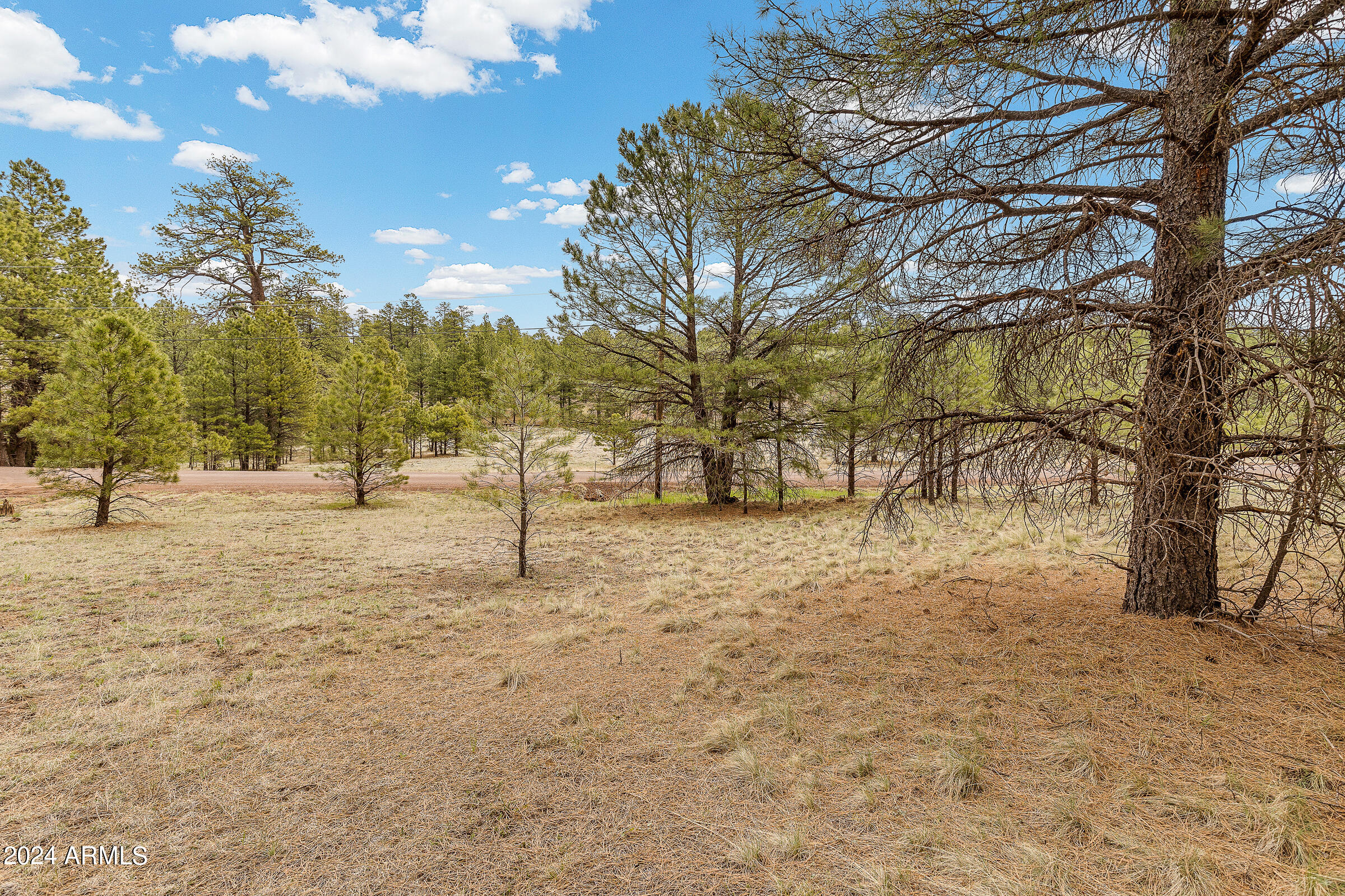 171 S Beech Drive Unit: --