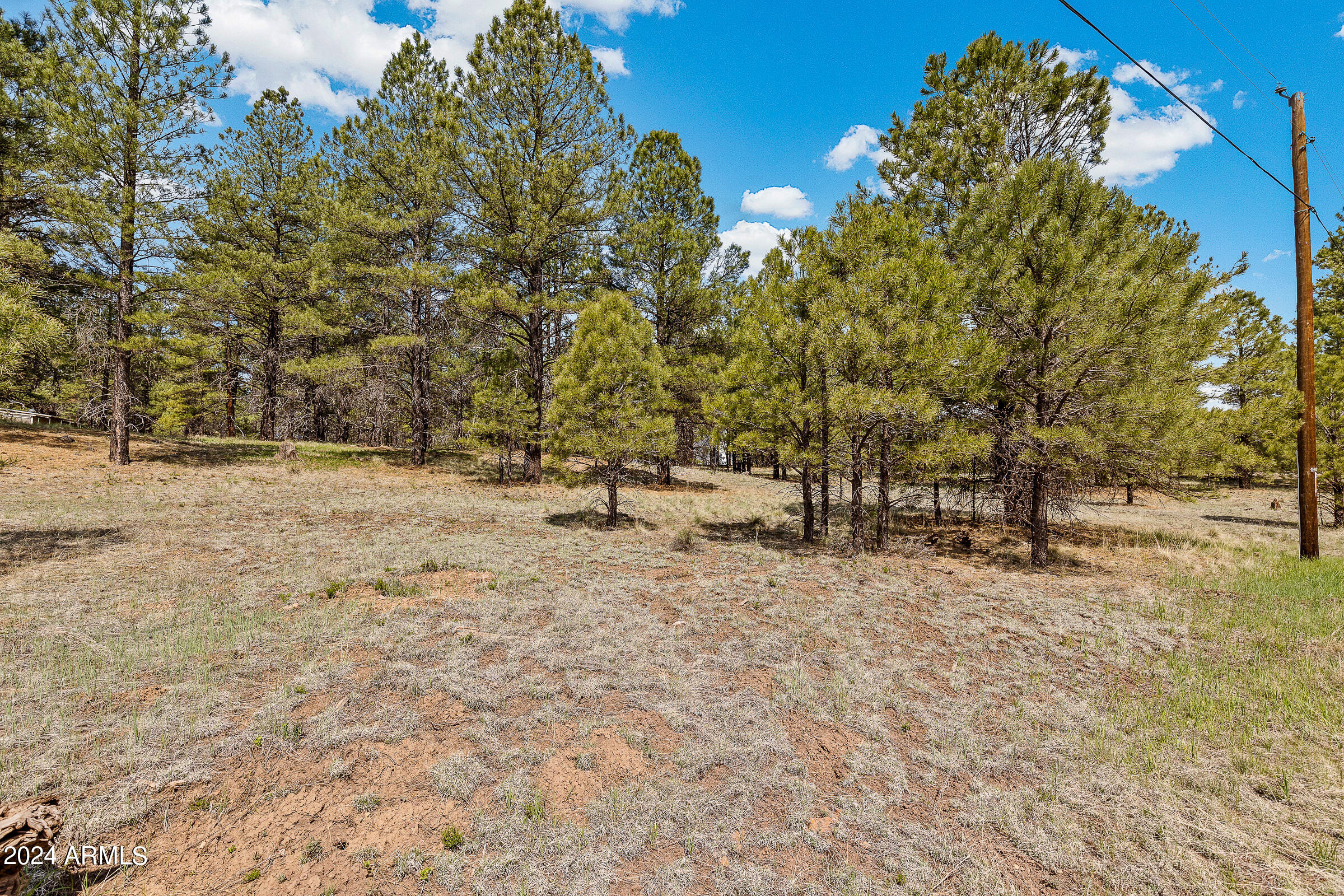 171 S Beech Drive Unit: --