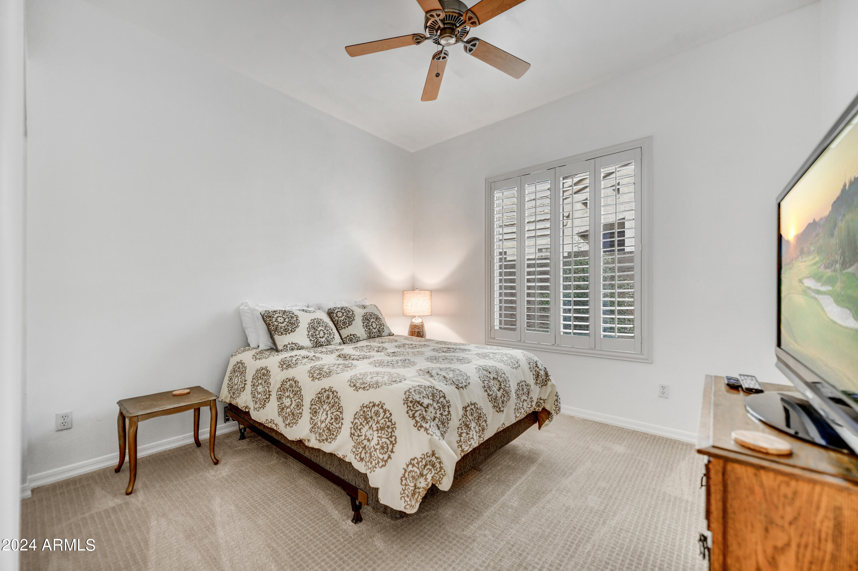 11451 E CHRISTMAS CHOLLA Drive