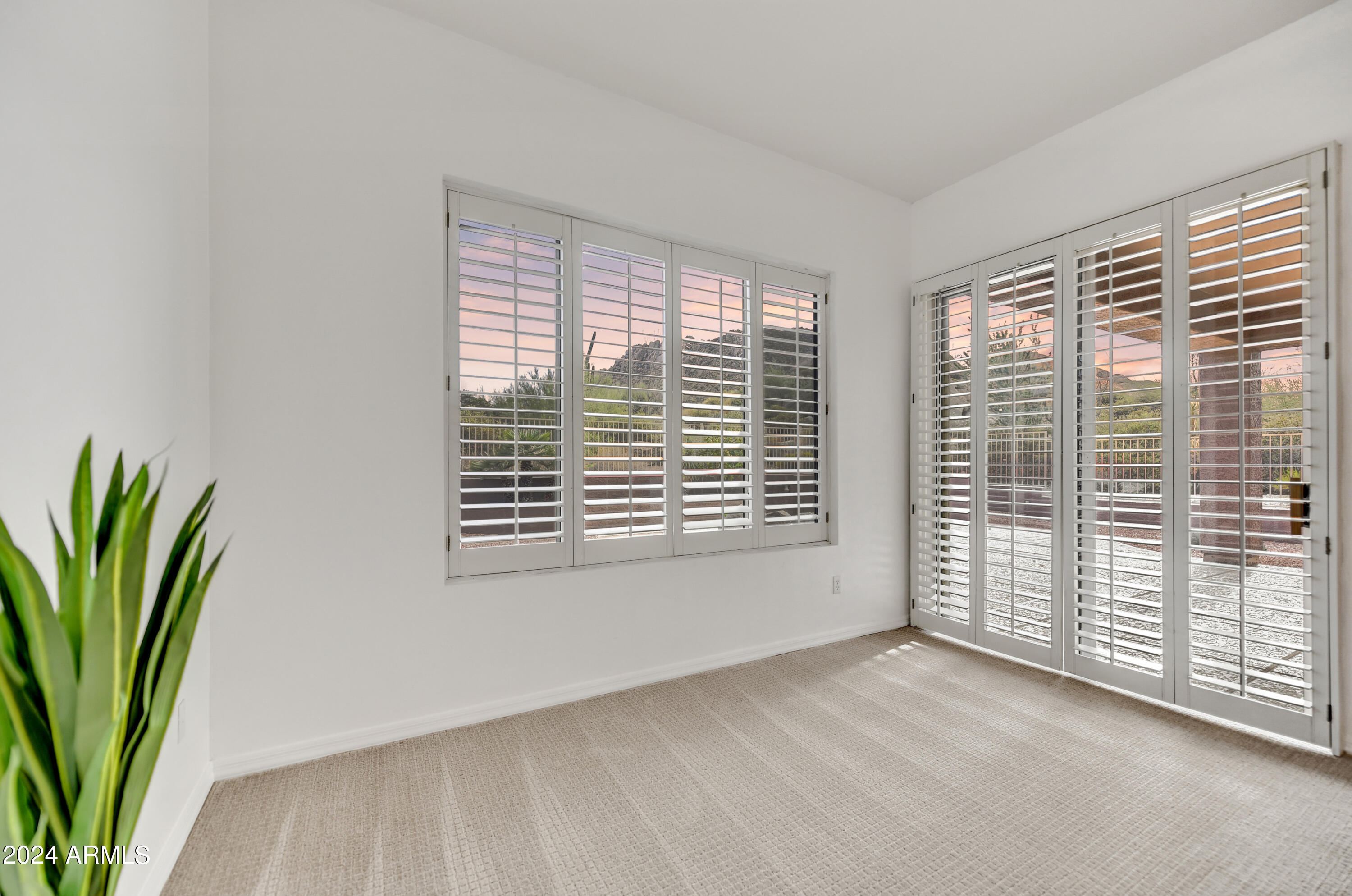 11451 E CHRISTMAS CHOLLA Drive