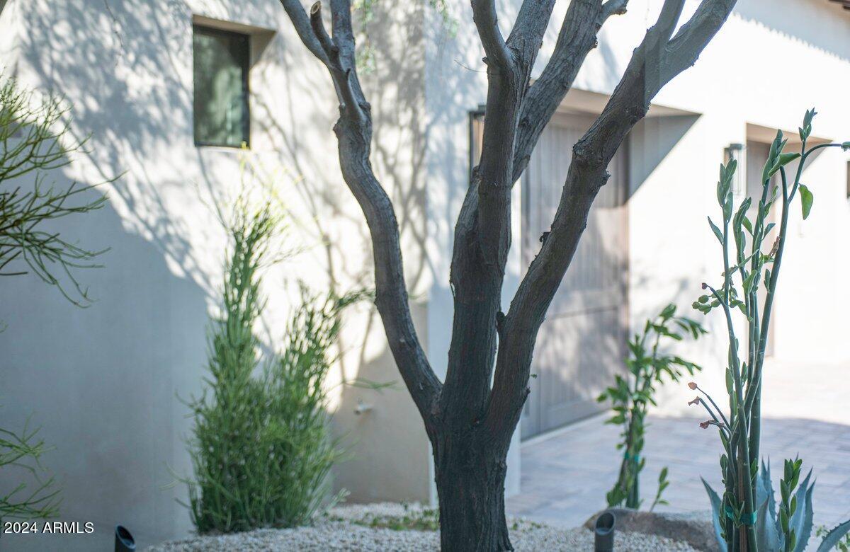 24892 N 107TH Street