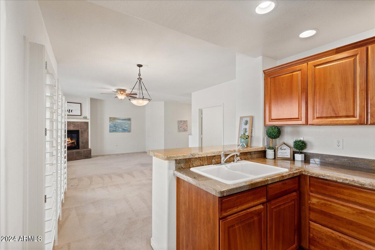 33550 N DOVE LAKES Drive # 1035