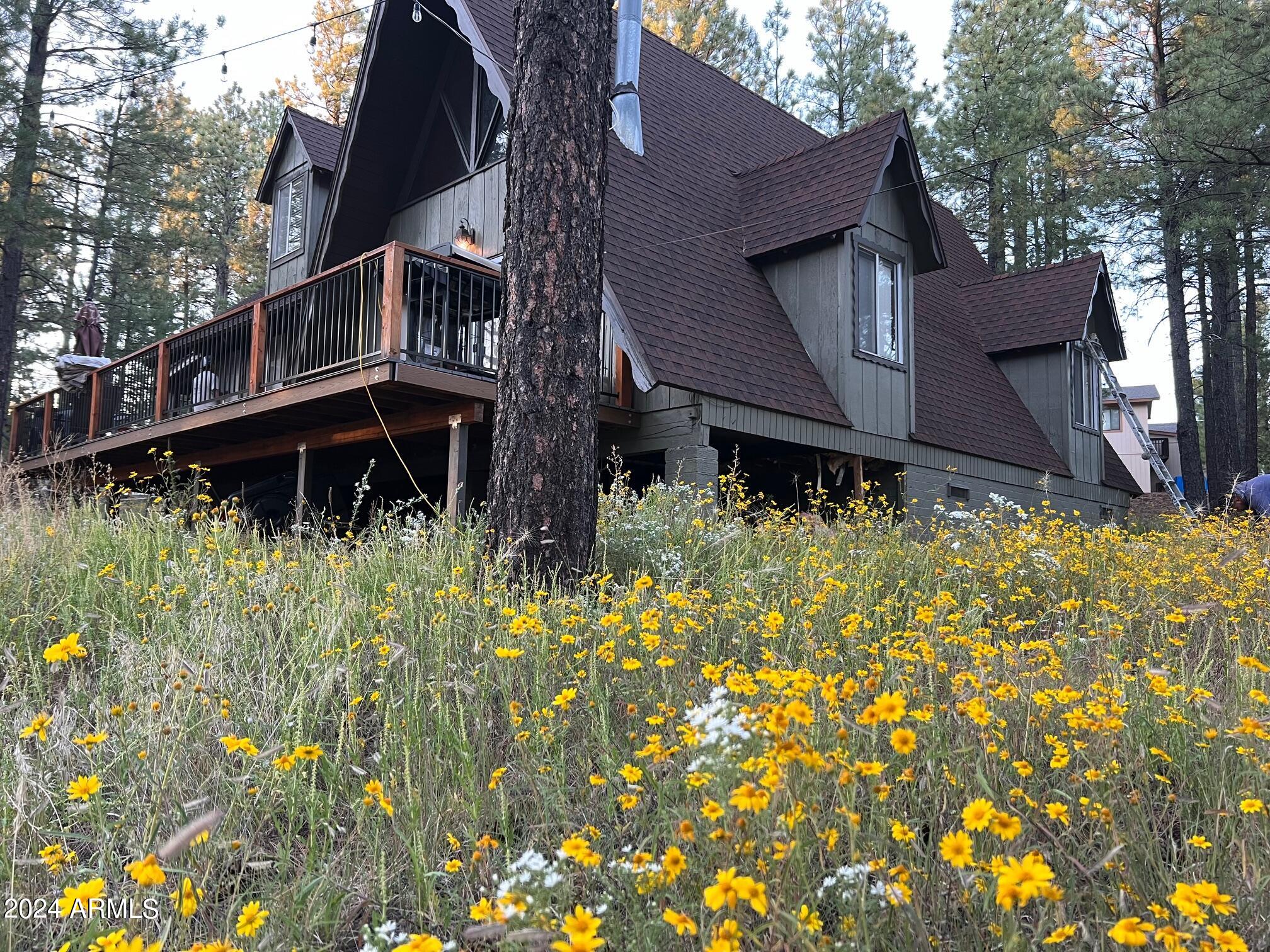 575 E Turkey Trail