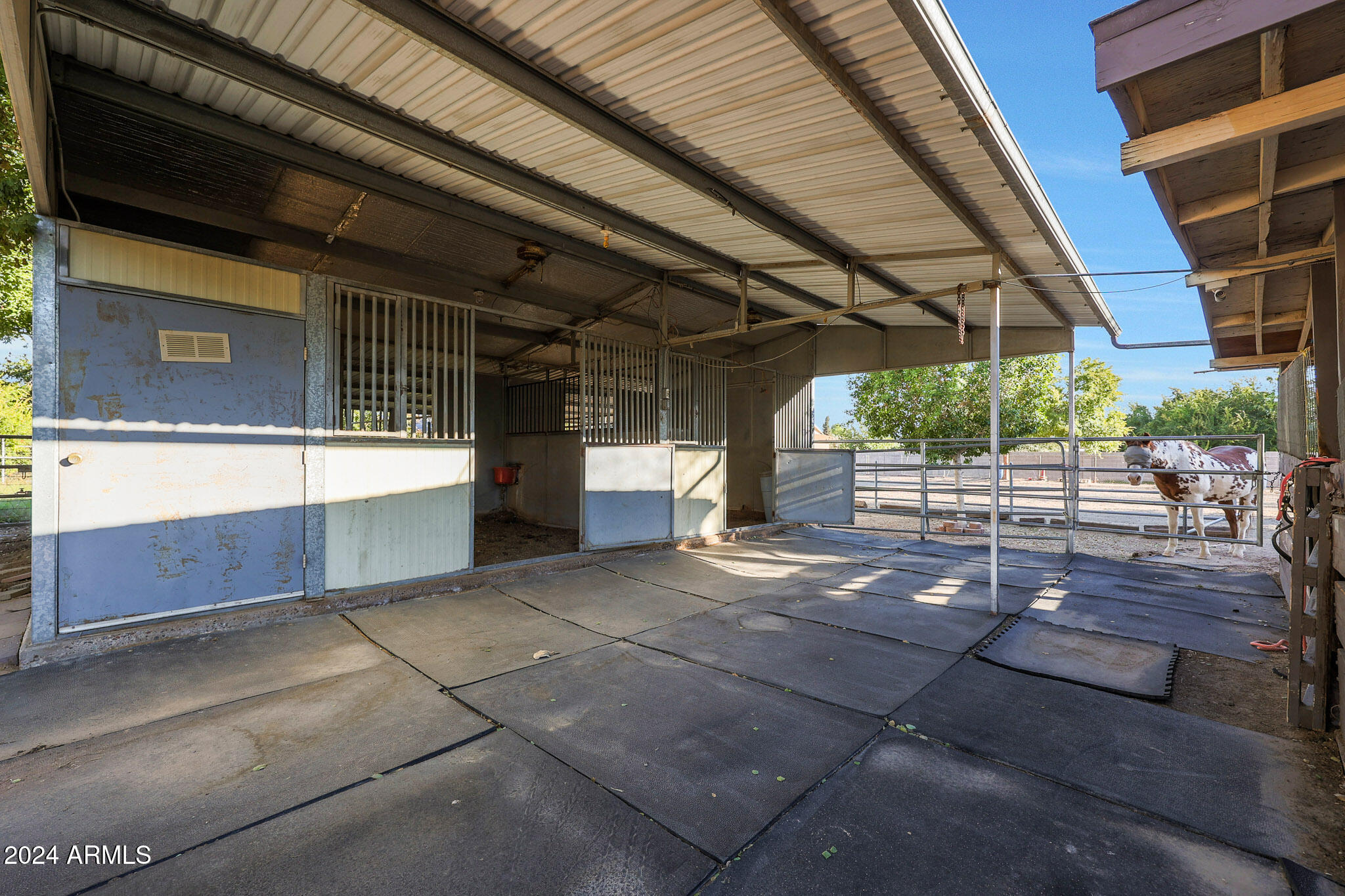 4331 W PORT AU PRINCE Lane
