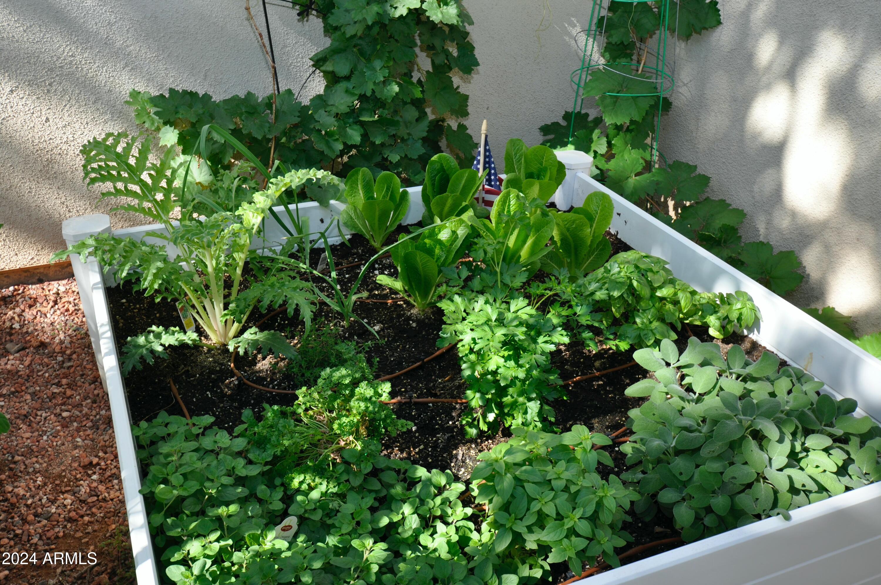 2989 N 44TH Street # 1036