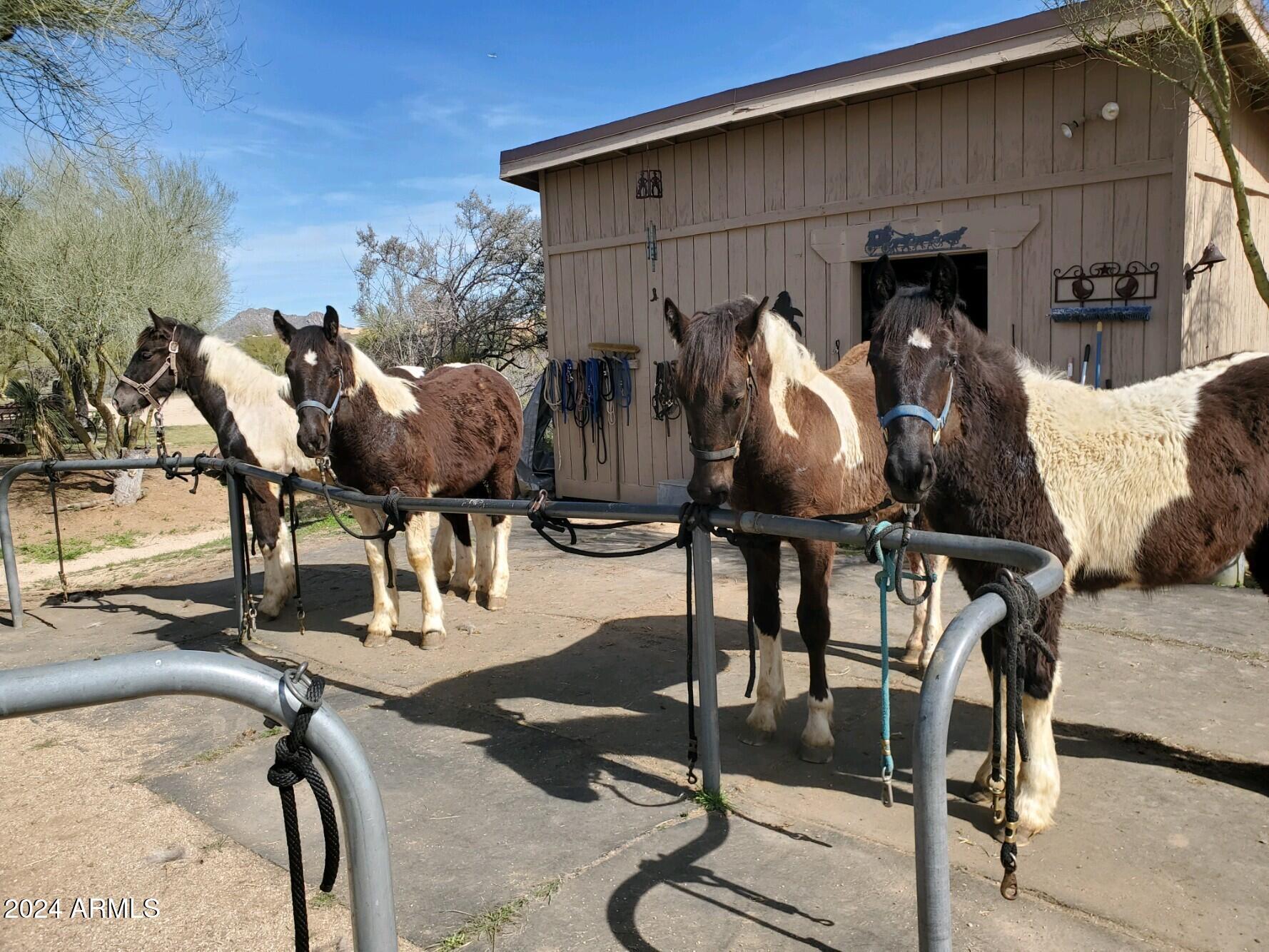 26639 N 132ND Street