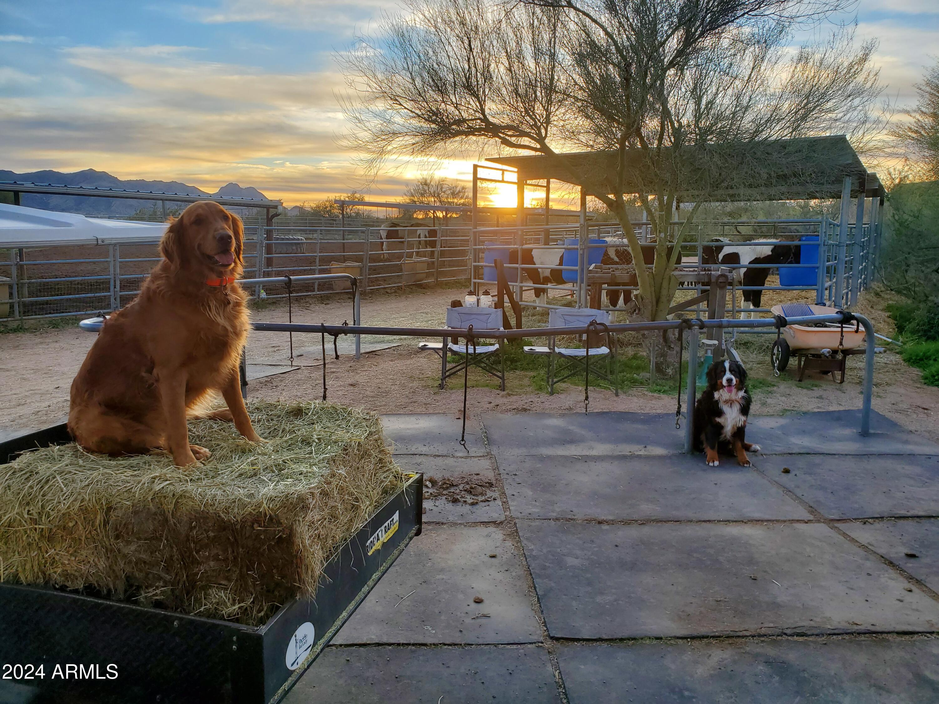 26639 N 132ND Street