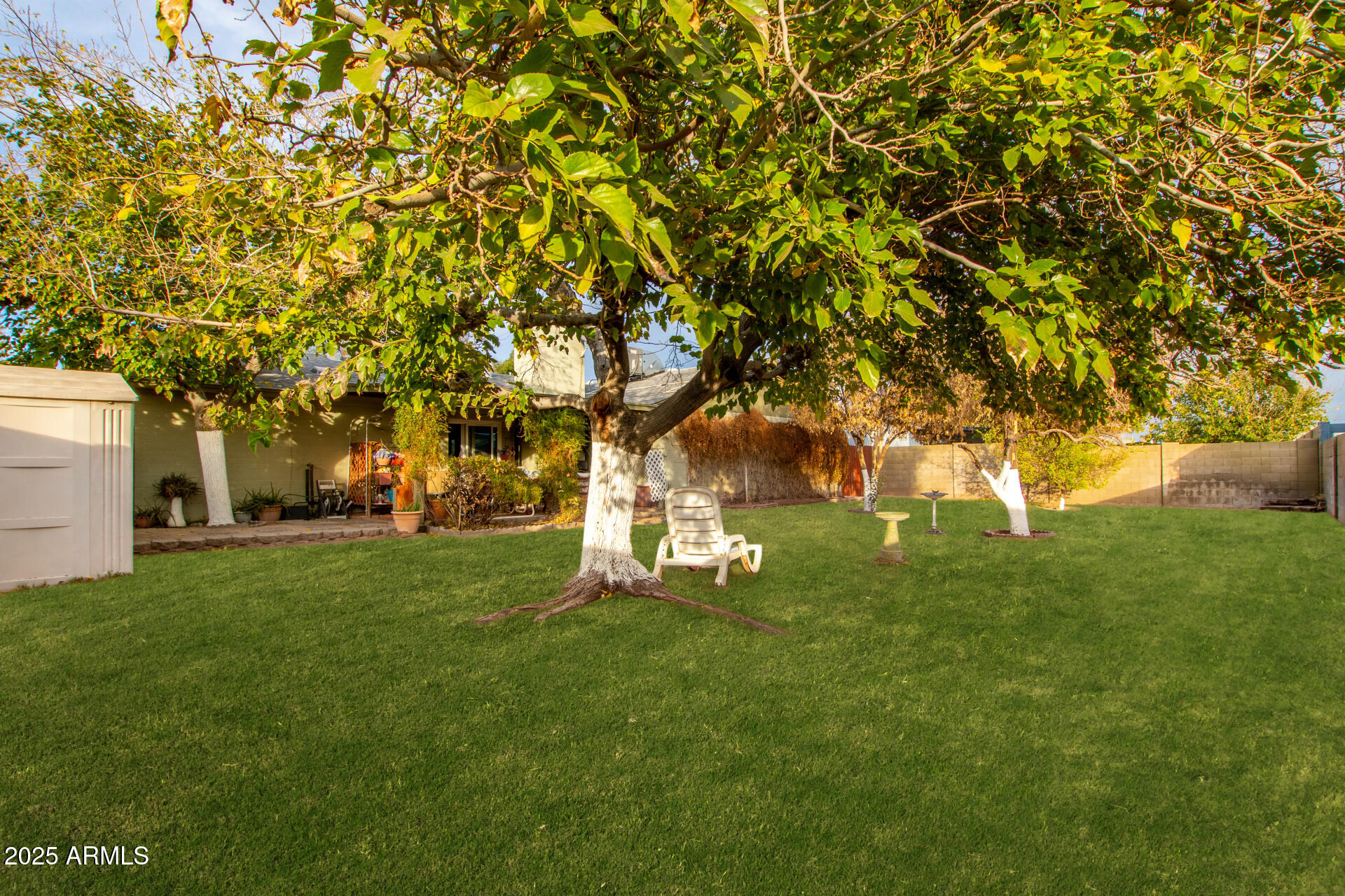 4529 W COLUMBINE Drive