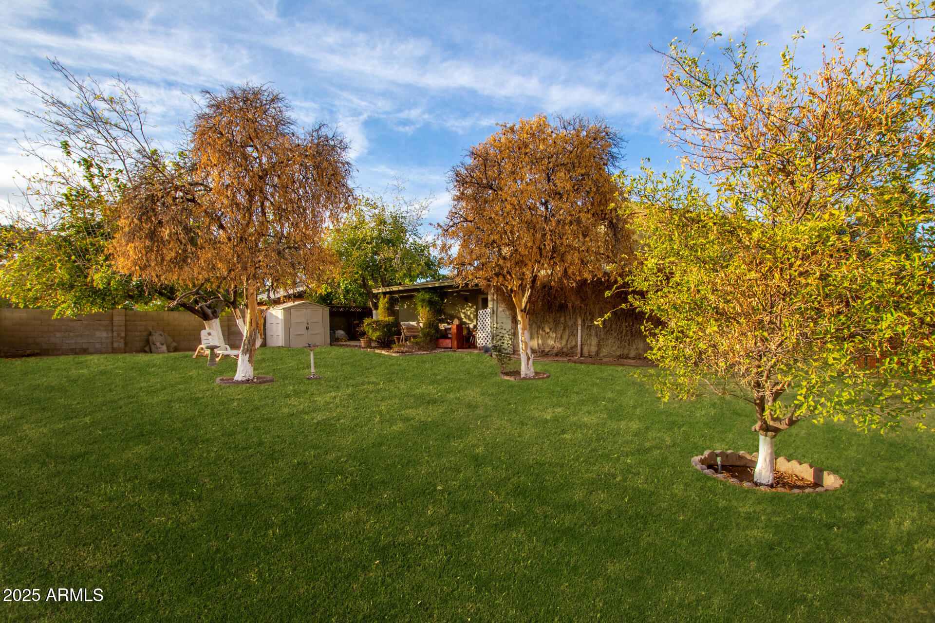 4529 W COLUMBINE Drive