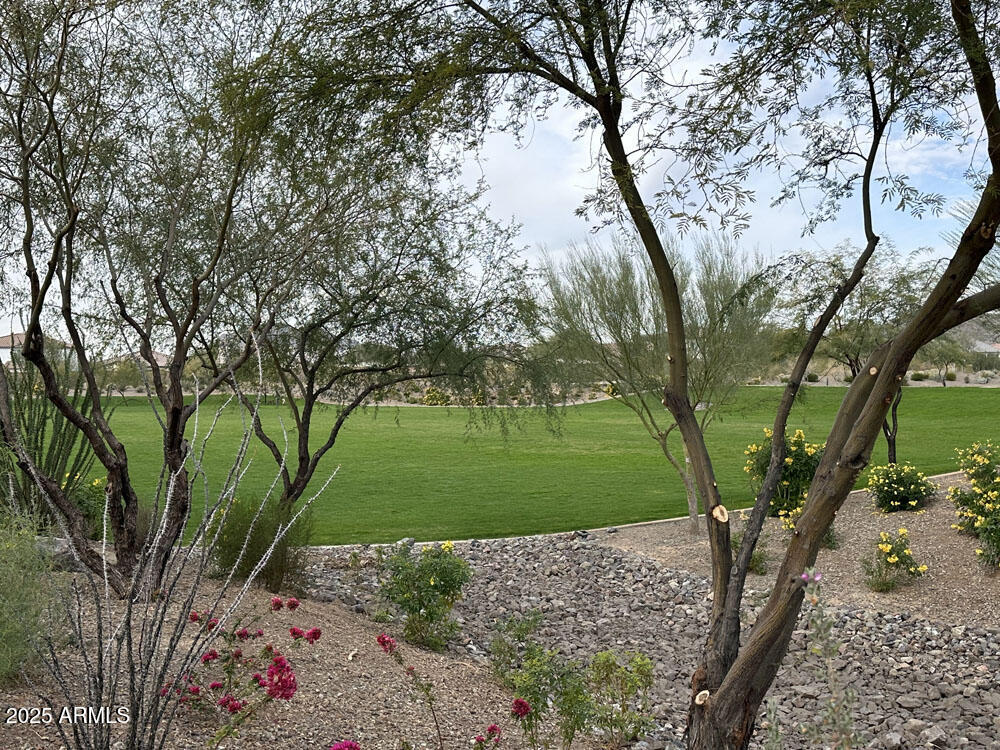 7689 W Smoketree Drive