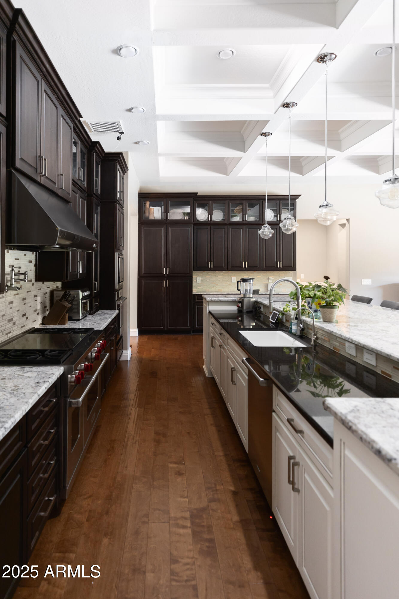 1783 E DESERT BROOM Place