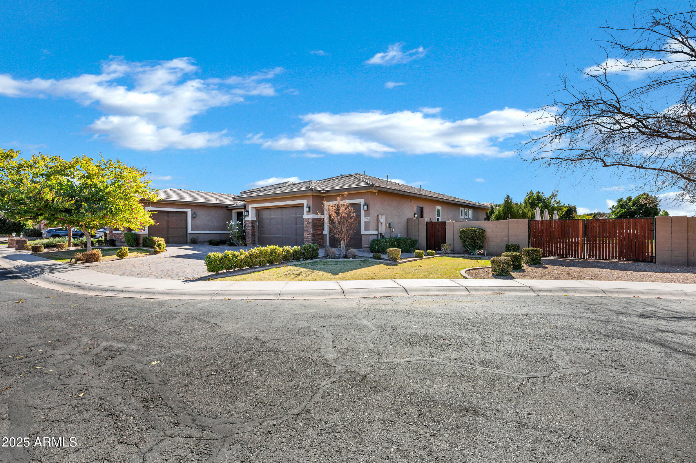 1783 E DESERT BROOM Place