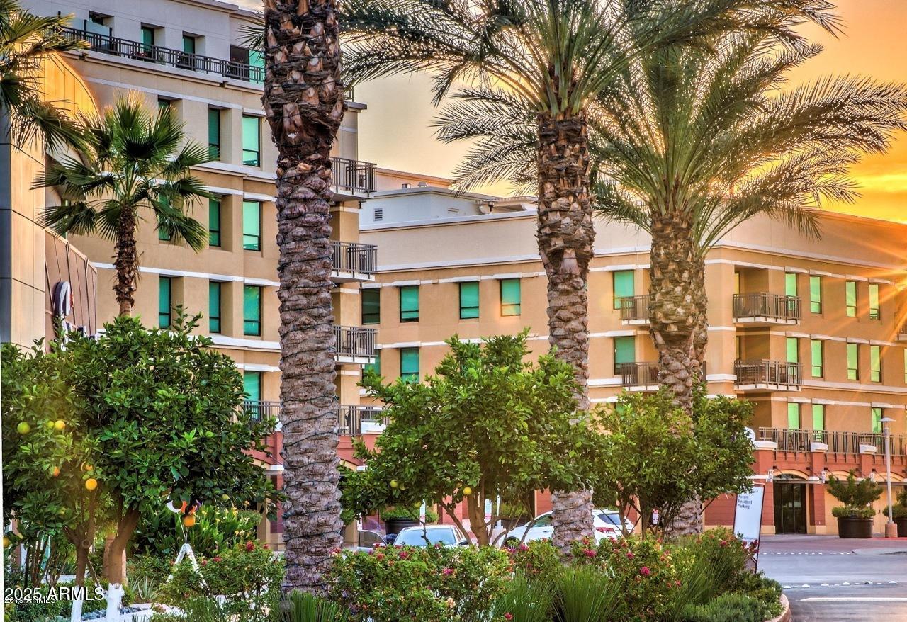 6803 E MAIN Street # 1110