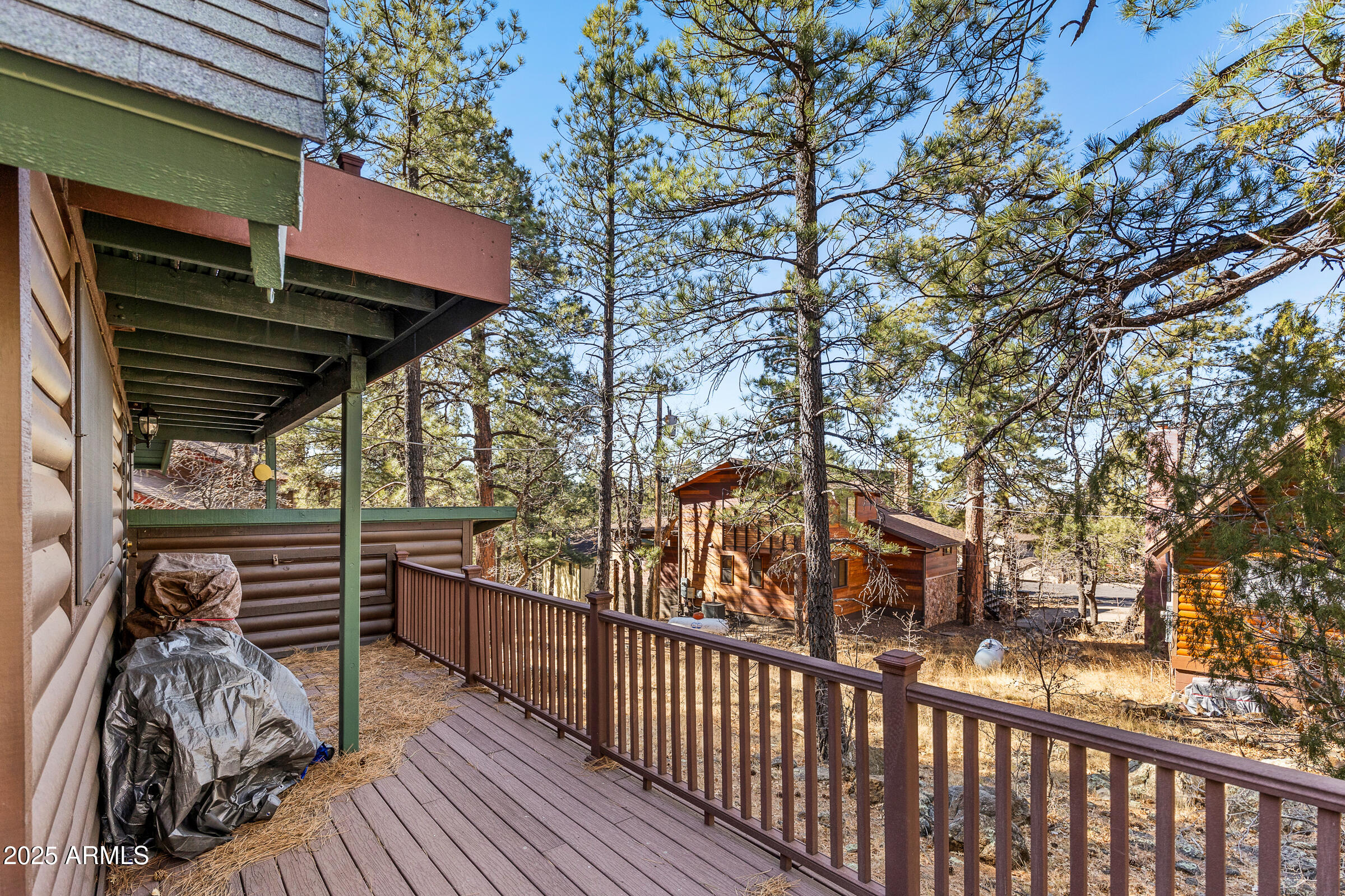 17740 S BUCKSKIN Circle