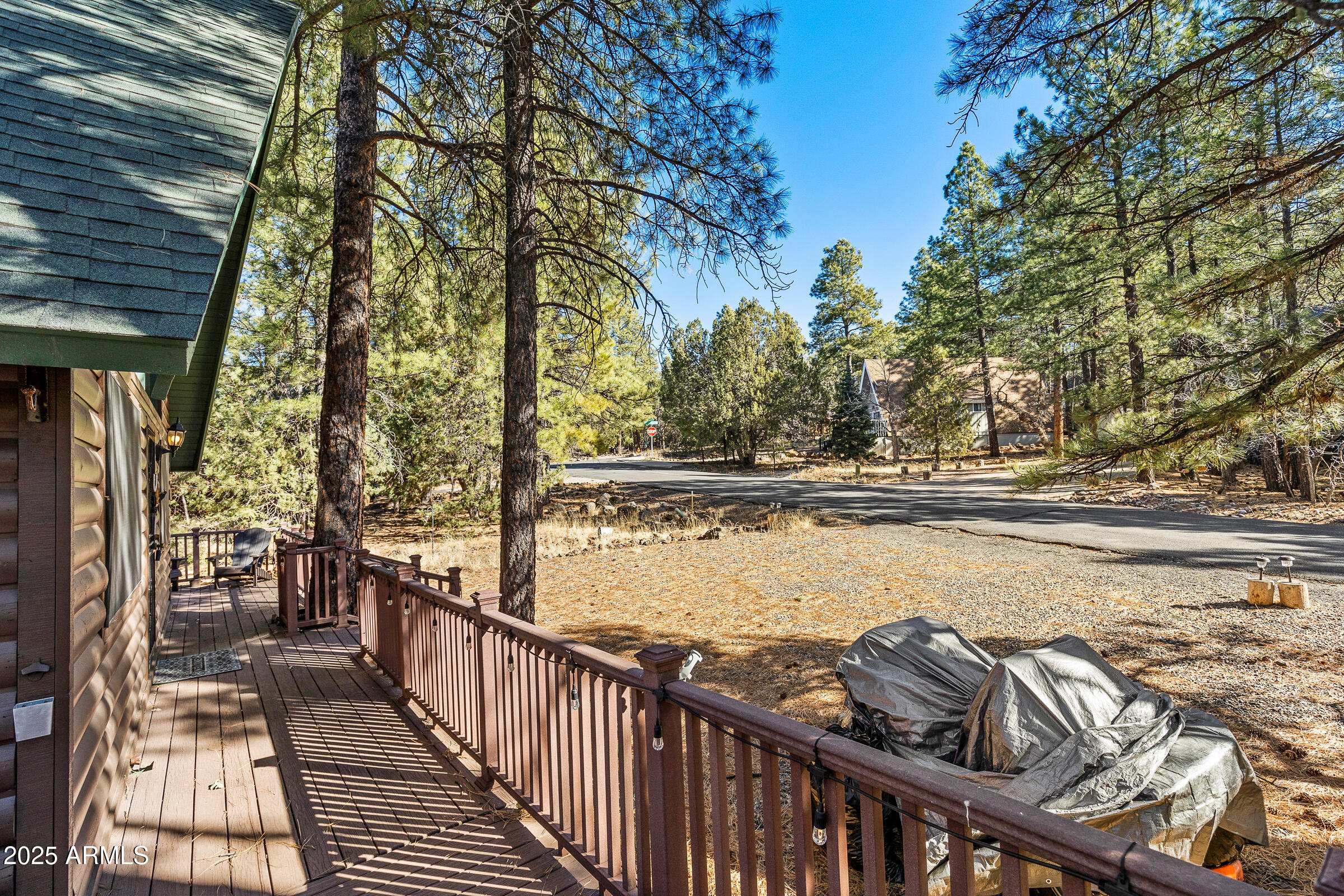 17740 S BUCKSKIN Circle