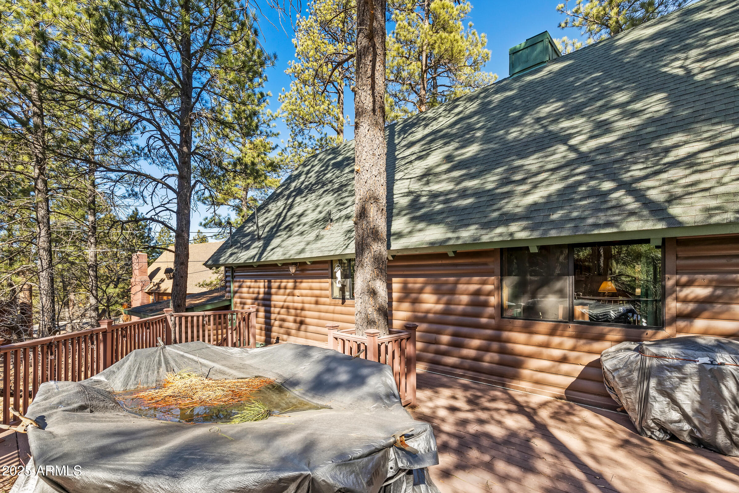 17740 S BUCKSKIN Circle