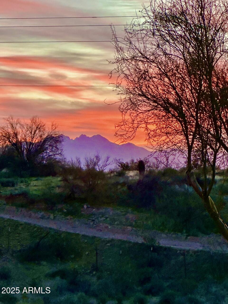 10401 N SAGUARO Boulevard # 104