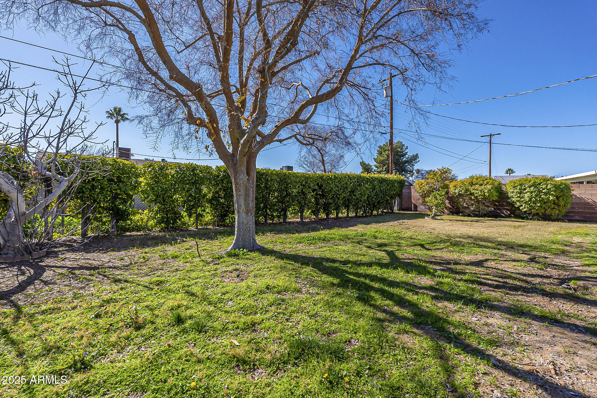 8731 E FOREST Drive