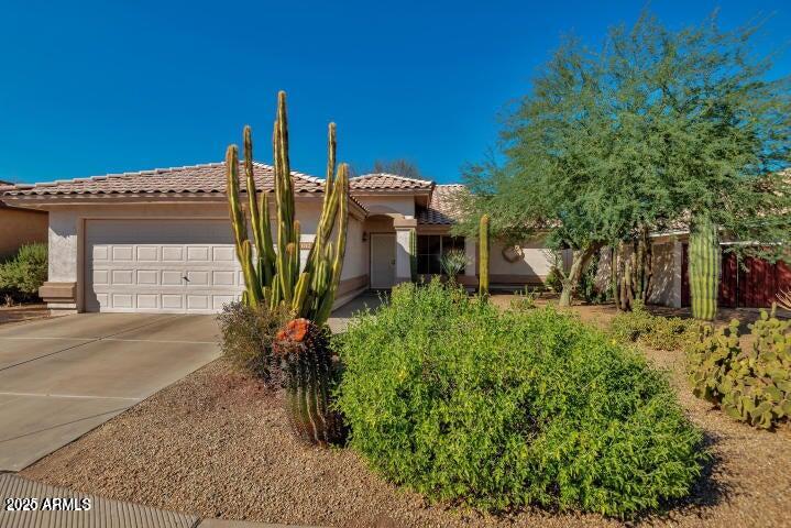 1712 W SPARROW Drive