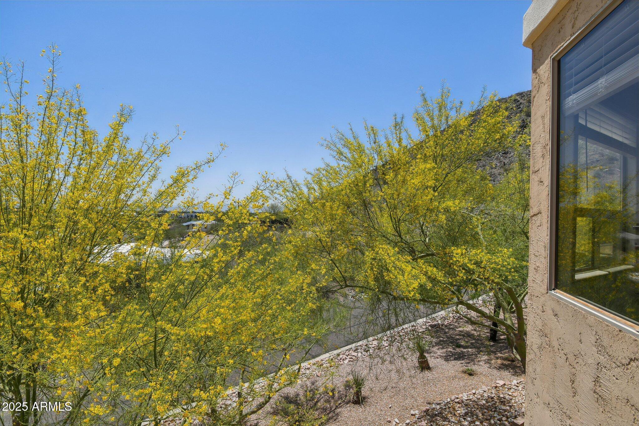 9820 N Central Avenue, 234