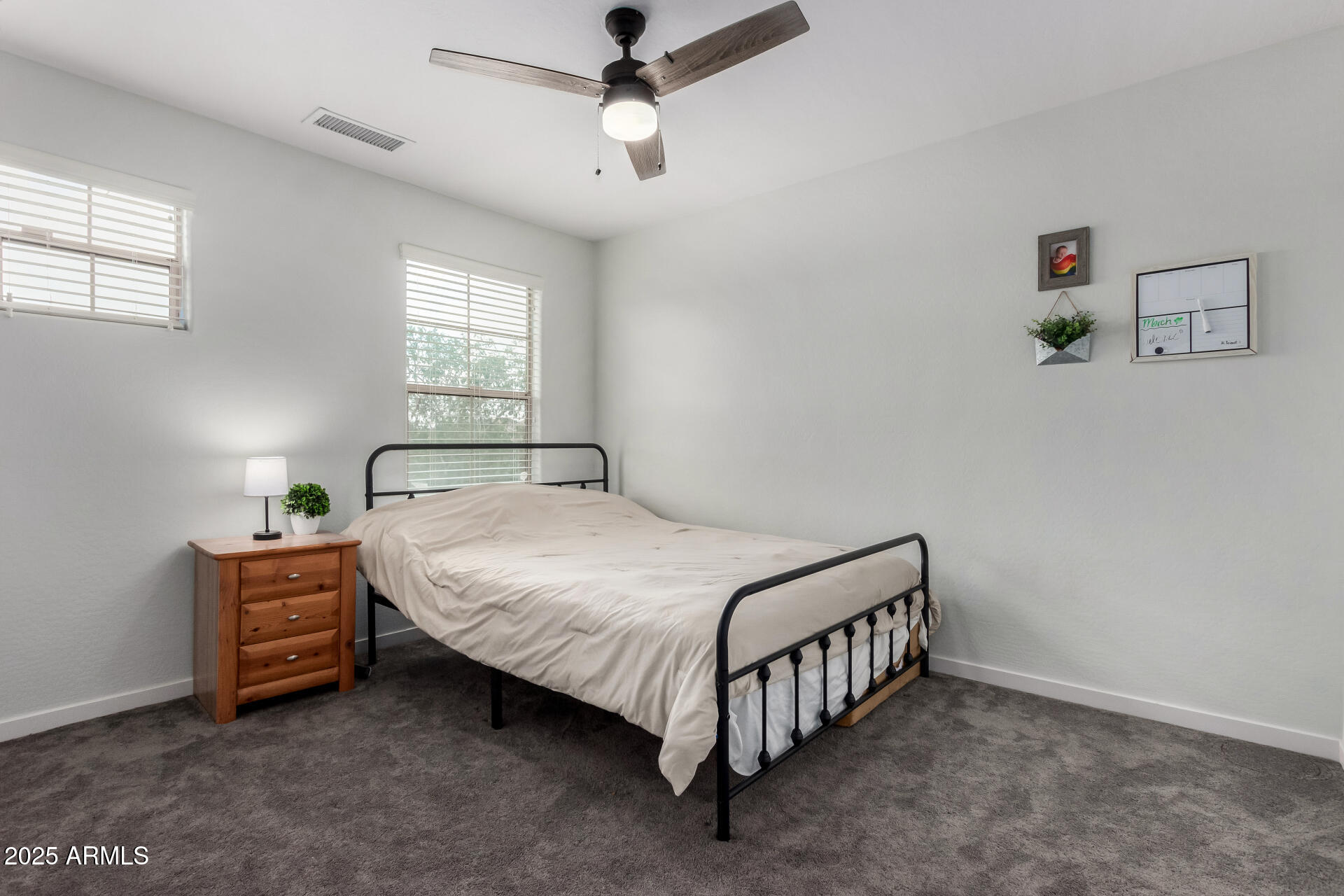 41678 N SALIX Drive