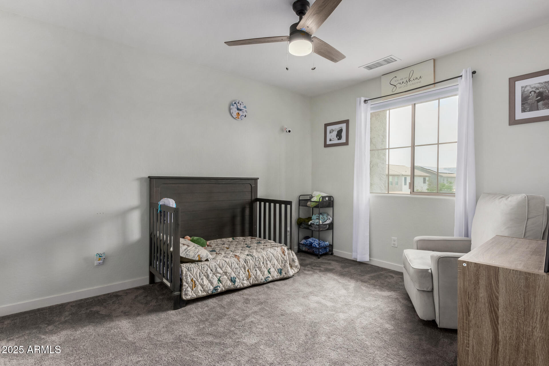 41678 N SALIX Drive