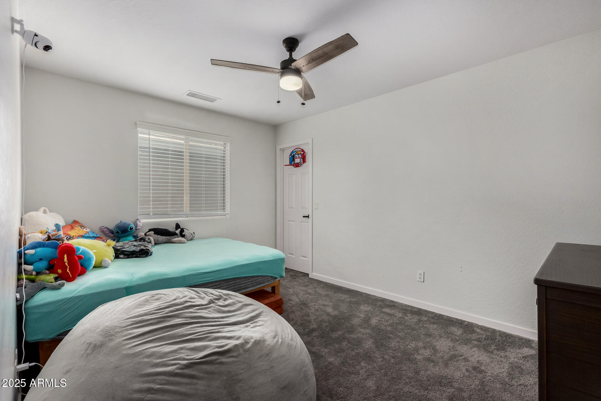 41678 N SALIX Drive