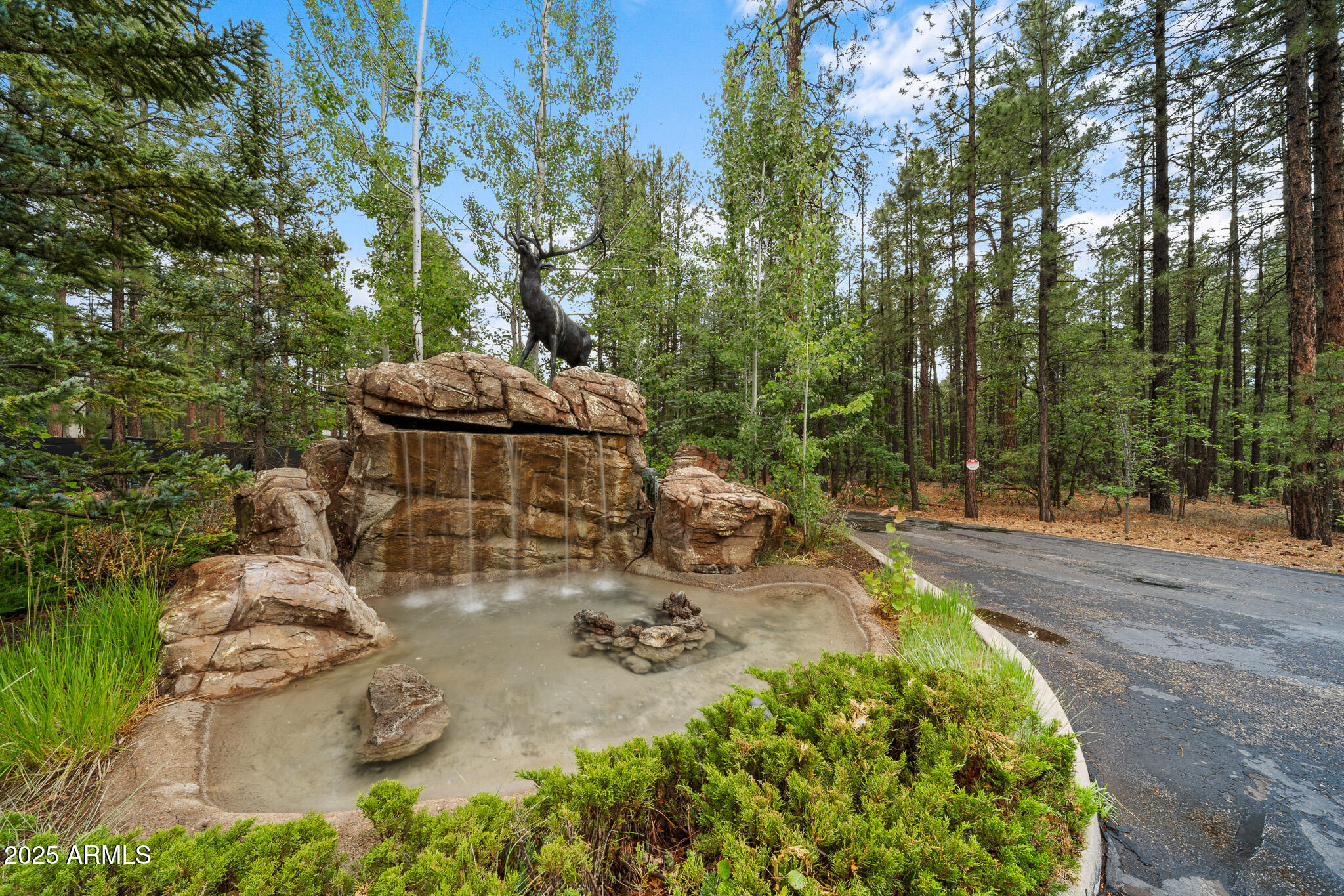3901 Elk Hollow Drive, Pinetop-Lakeside